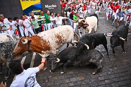Miguel Oses/AP/dpa | Auch dieses Jahr protestierten Tierschutzgruppen gegen die traditionsreiche Veranstaltung.