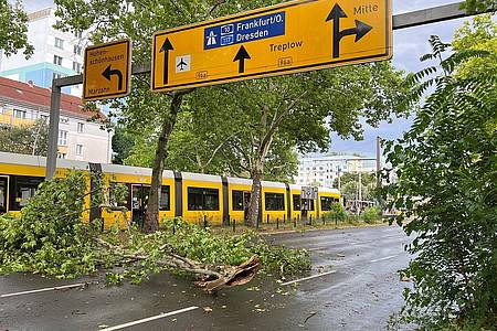 Holger Mehlig/dpa | Das gesamte Stadtgebiet war den Angaben nach betroffen - hier abgebrochene Äste im Prenzlauer Berg.