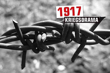 Stacheldraht mit Aufschrift "1917"