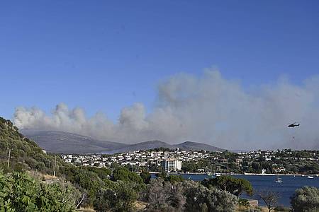 Anne Pollmann/dpa | Das auf einem Acker ausgebrochene Feuer soll sich durch starken Wind auf umliegende Büsche und Wälder ausgebreitet haben.