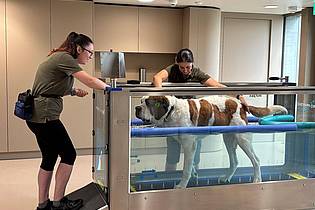 Christiane Oelrich/dpa | Im «Barryland» können Besucher die tägliche Pflege der Hunde live miterleben.