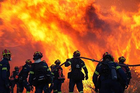 Pantelis Fykaris/Politischios.gr via AP/dpa | Der Kampf gegen die Flammen läuft den dritten Tag in Folge.