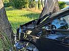 Infolge der Kollision schleuderte der Seat gegen einen Baum.
Foto: Polizei Minden-Lübbecke