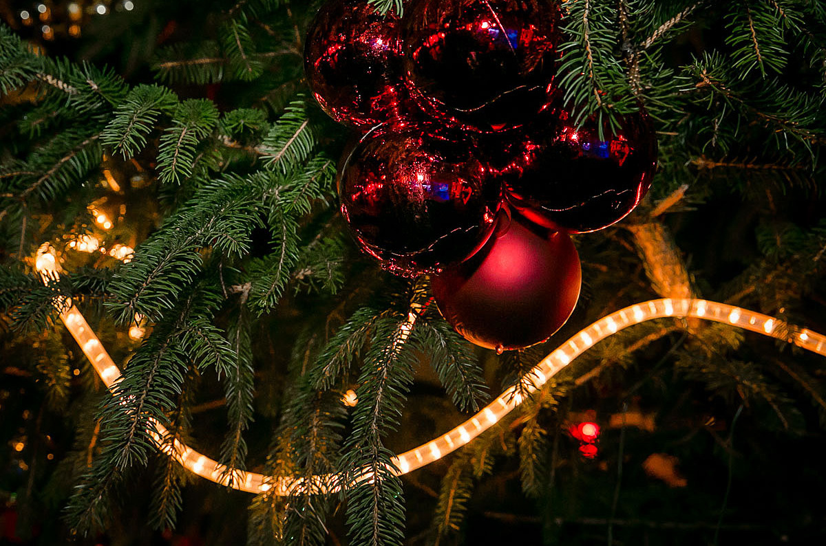 Weihnachtskugel_Tanne