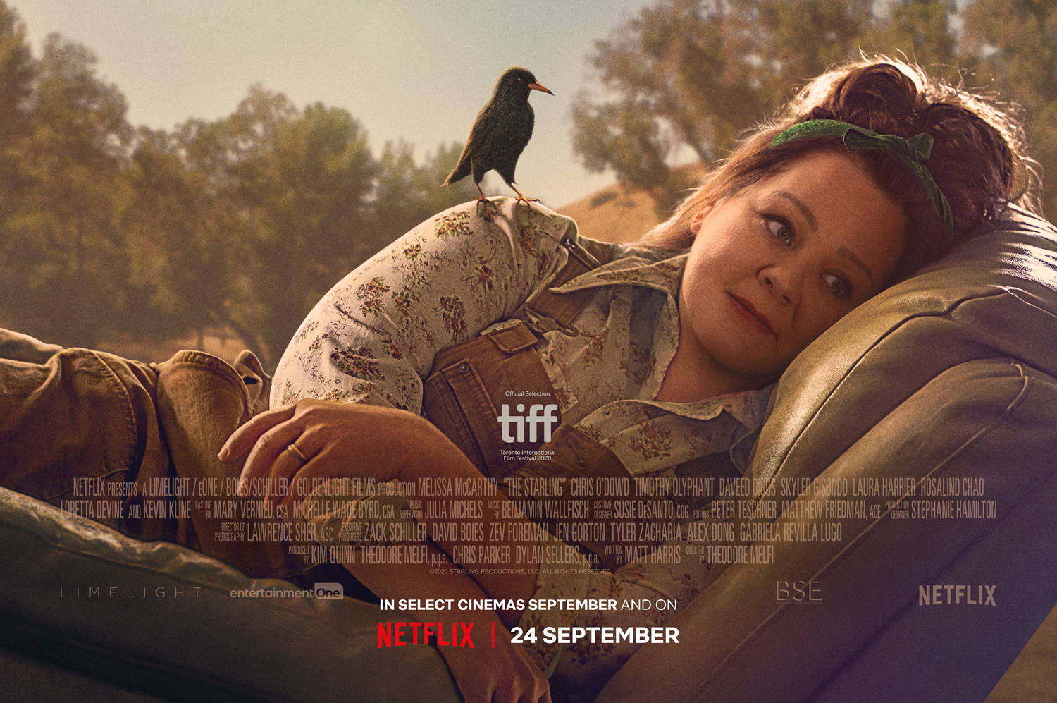streaming-tipp-vogel-netflix