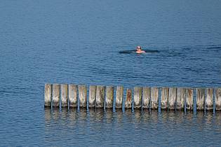 Sebastian Willnow/dpa | Viele Menschen dürften an diesem Wochenende Abkühlung suchen - so wie dieser Schwimmer am Markkleeberger See bei Leipzig.