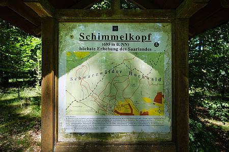 Oliver Dietze/dpa | Jahrzehntelang war der Schimmelkopf die höchste natürliche Erhebung des Saarlandes. - bis 2005 neue, präzisere Messungen kamen.