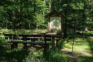 Oliver Dietze/dpa | Der Schimmelkopf ist 694,8 Meter hoch, der Dollberg bei Nohfelden aber 695,4 Meter. Sechzig Zentimeter höher.