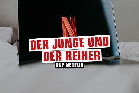 Symbolbild Netflix mit dem Filmtitel "Der Junge und der Reihe"r