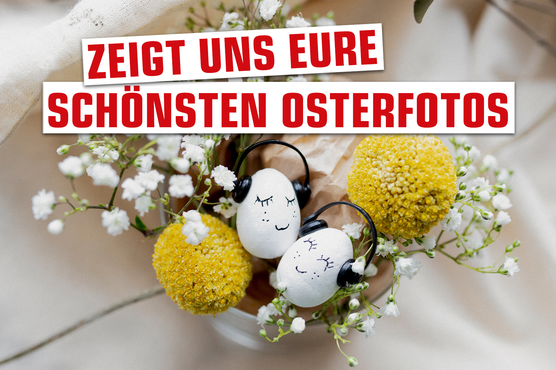 schönsten-osterfotos