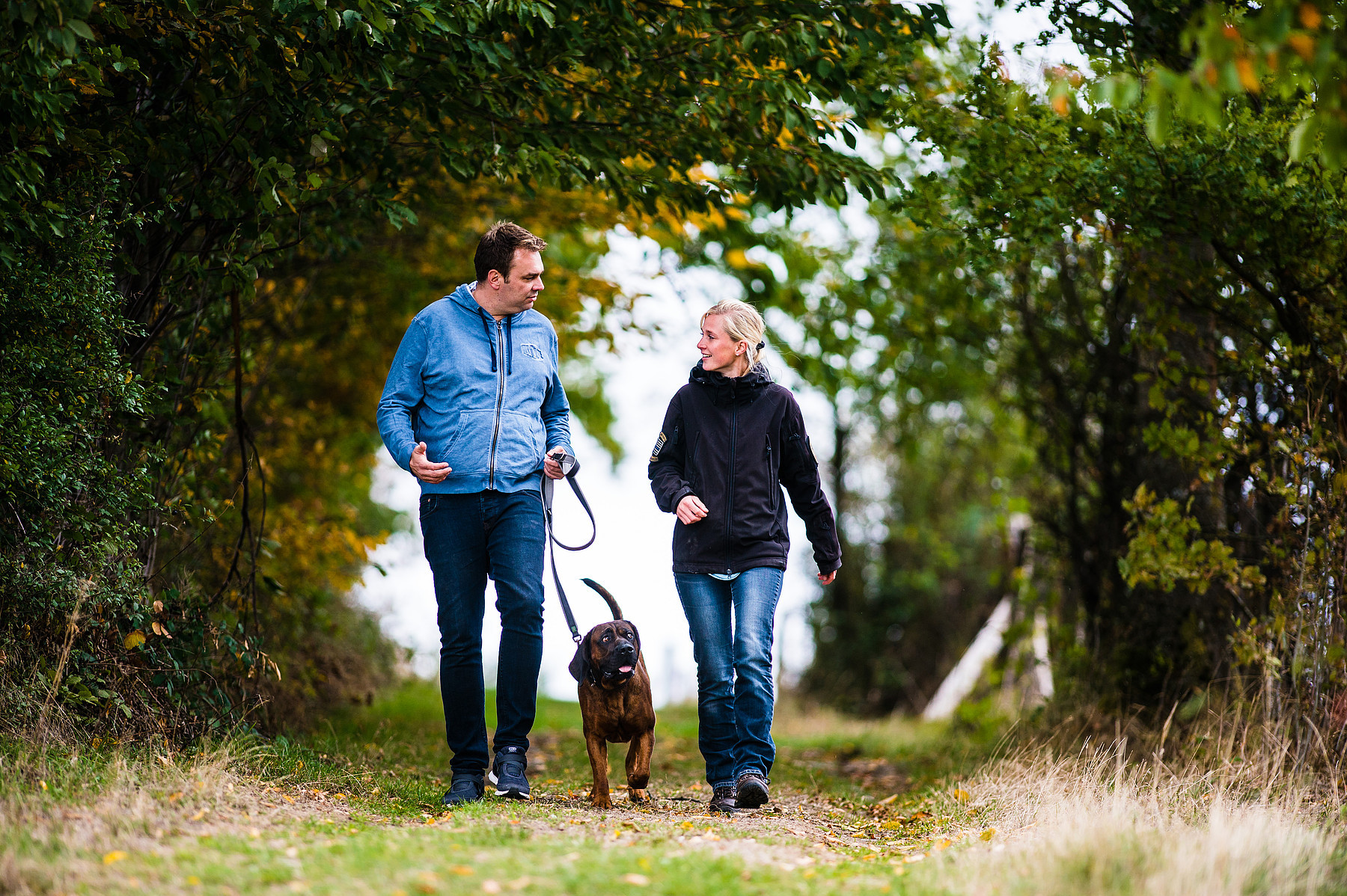 Hundetalk
