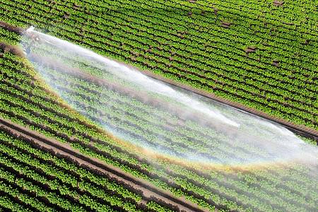 Julian Stratenschulte/dpa | Wasser kann Luxus sein - wenn es knapp ist und für die Landwirtschaft gebraucht wird. (Illustration)