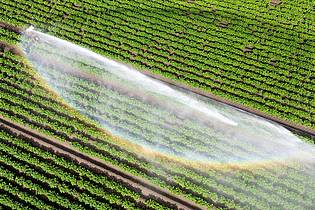Julian Stratenschulte/dpa | Wasser kann Luxus sein - wenn es knapp ist und für die Landwirtschaft gebraucht wird. (Illustration)