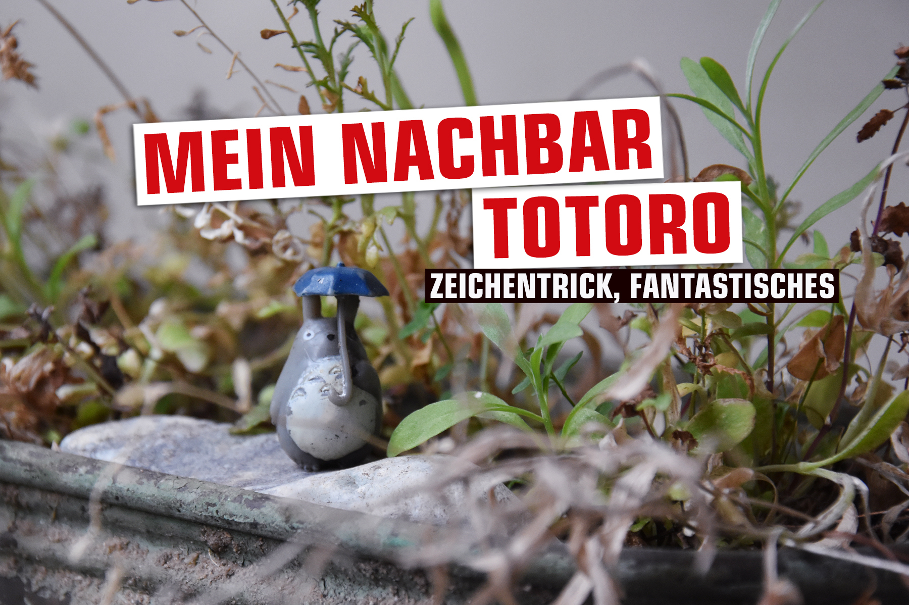 streaming-tipp-mein-nachbar-totoro