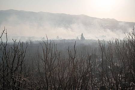 Murat Kocabas/SOPA Images via ZUMA Press Wire/dpa | Nach Angaben des Landwirtschaftsministers seien vier Flugzeuge und 14 Hubschrauber zur Brandbekämpfung im Einsatz.