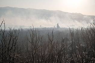 Murat Kocabas/SOPA Images via ZUMA Press Wire/dpa | Nach Angaben des Landwirtschaftsministers seien vier Flugzeuge und 14 Hubschrauber zur Brandbekämpfung im Einsatz.