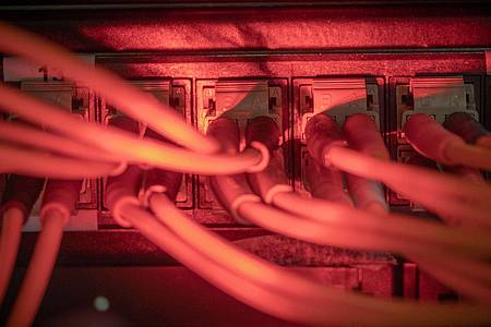 Michael Kappeler/dpa | Datenlecks verunsichern: Passwortmanager helfen, sichere und individuelle Logins zu nutzen.