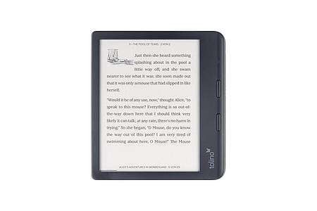 Stiftung Warentest/dpa-tmn | Auch der «Tolino Vision Color» (269 Euro) punktet bei den Warentestern bei den E-Book-Readern mit Eingabestift.