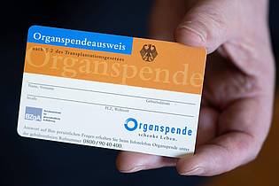 Hendrik Schmidt/dpa/dpa-tmn | Ein Organspendeausweis macht die persönliche Entscheidung deutlich - im Urlaub ist eine landessprachliche Variante sinnvoll.