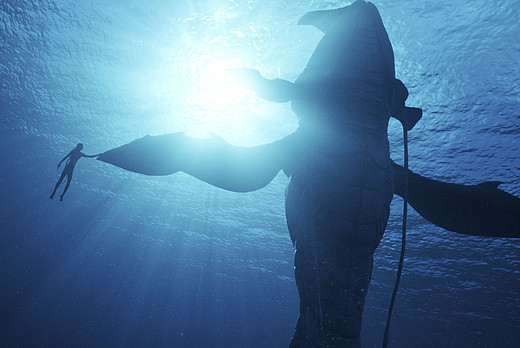 Streaming-Tipp: Avatar: The Way of Water