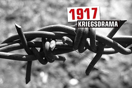 Stacheldraht mit Aufschrift "1917"