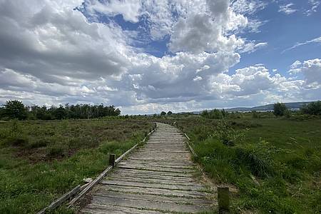 Toorfmoor in Hille