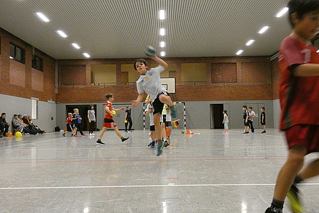 Handball Minis