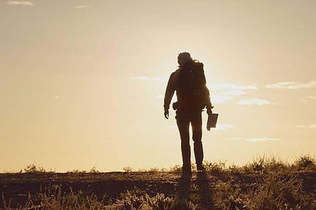 Streaming-Review: Cargo