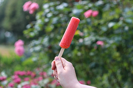 Rotes Eis am Stiel