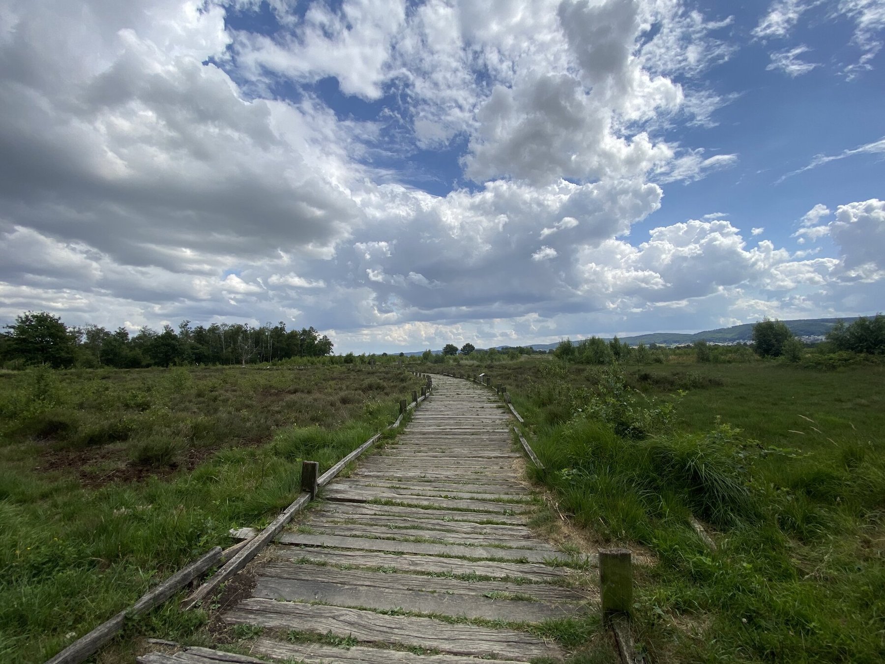 Toorfmoor in Hille
