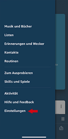 Anleitung Lokalnachrichten-Skill