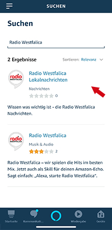 Anleitung Lokalnachrichten-Skill