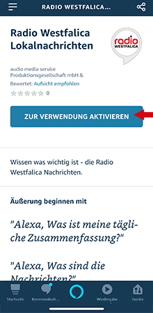 Anleitung Lokalnachrichten-Skill